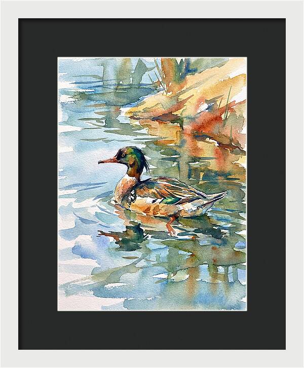 Merganser Swimming Serenity