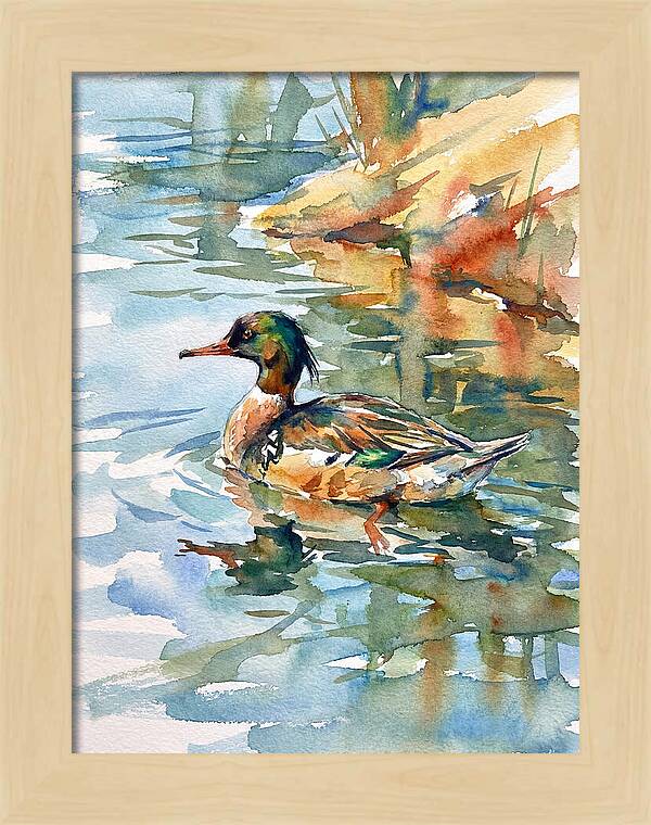 Merganser Swimming Serenity