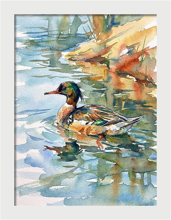 Merganser Swimming Serenity