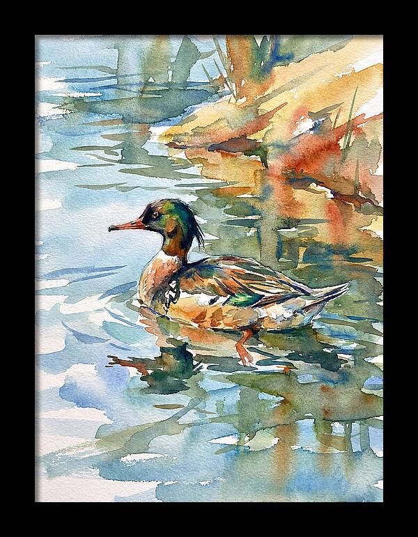 Merganser Swimming Serenity
