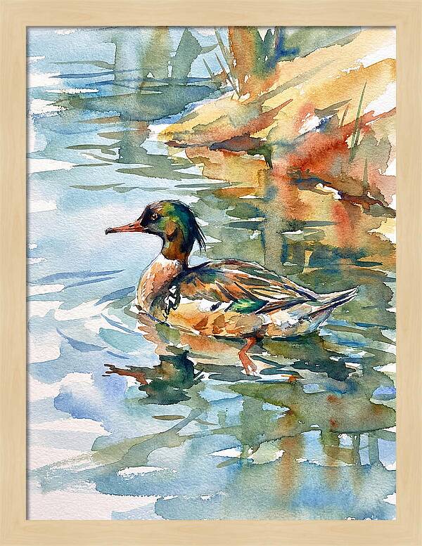 Merganser Swimming Serenity