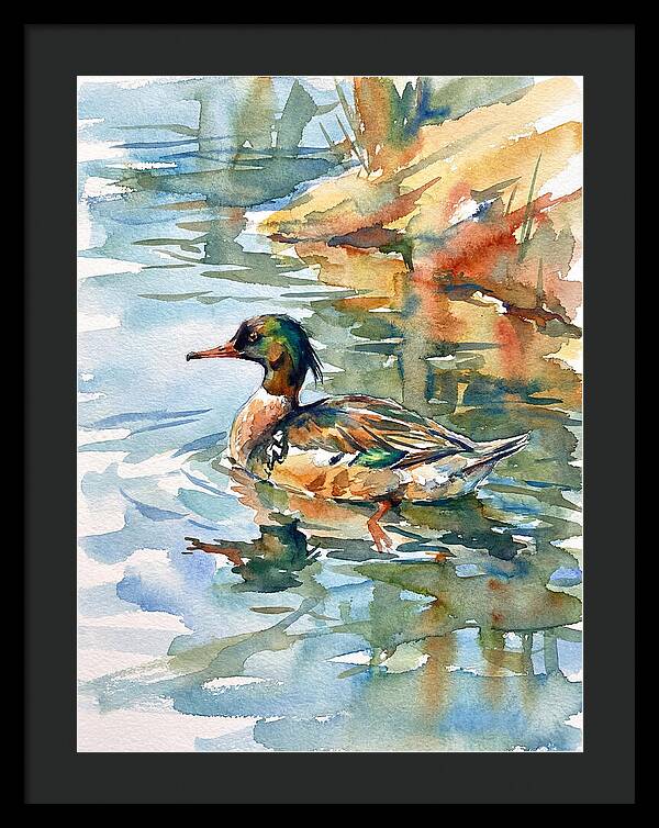 Merganser Swimming Serenity