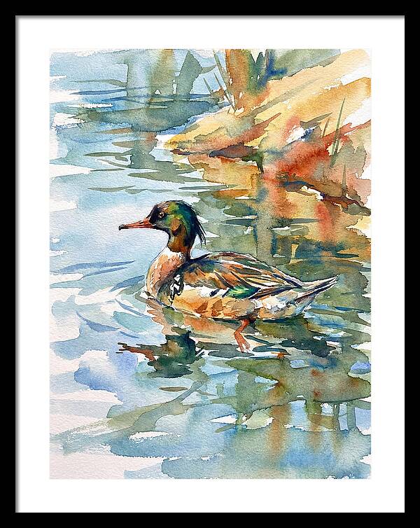 Merganser Swimming Serenity