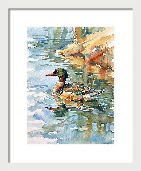Merganser Swimming Serenity