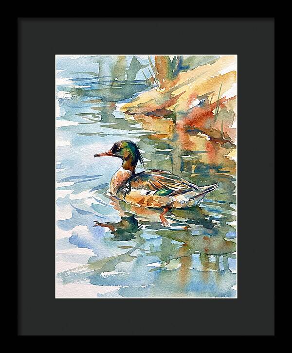 Merganser Swimming Serenity