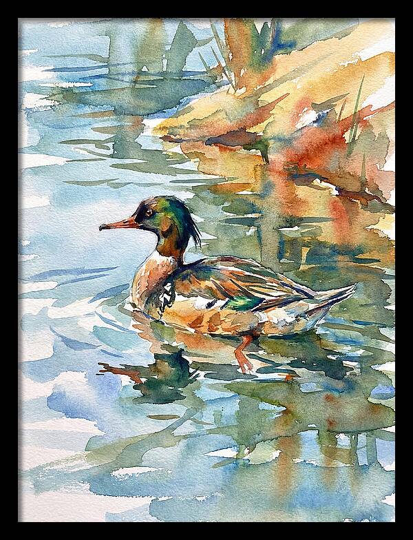 Merganser Swimming Serenity