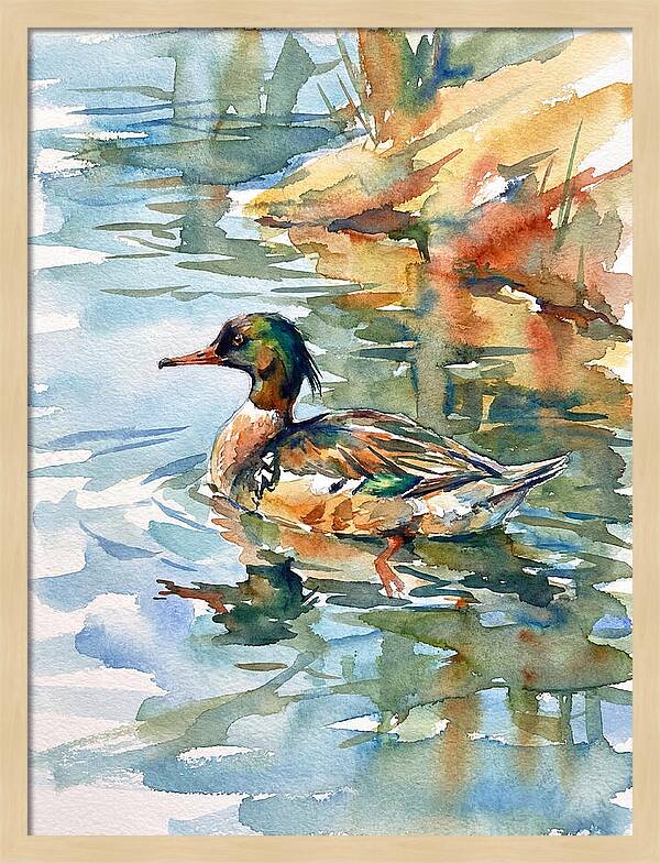 Merganser Swimming Serenity