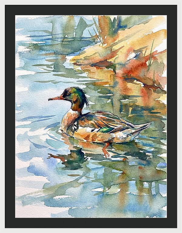 Merganser Swimming Serenity
