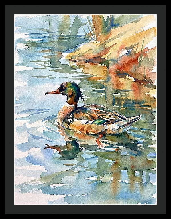Merganser Swimming Serenity