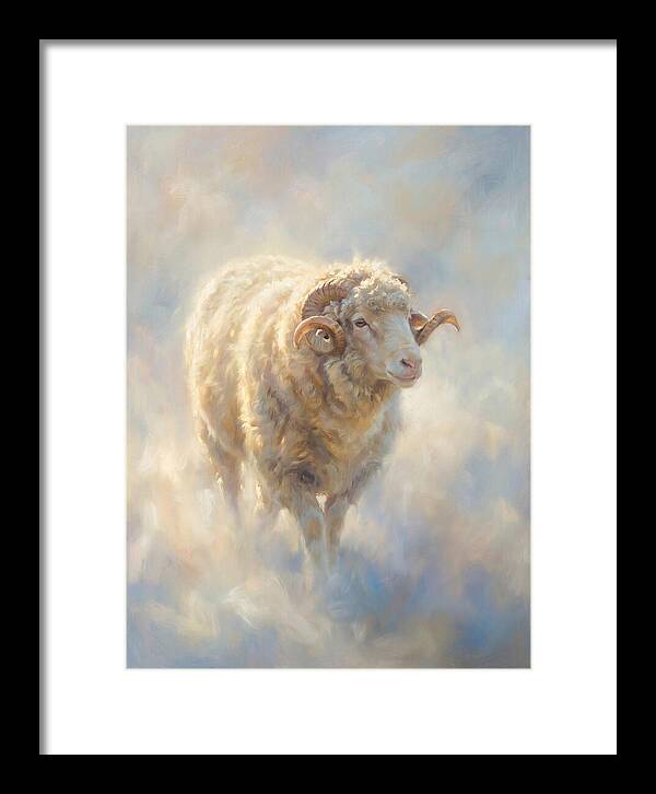 Merino Sheep