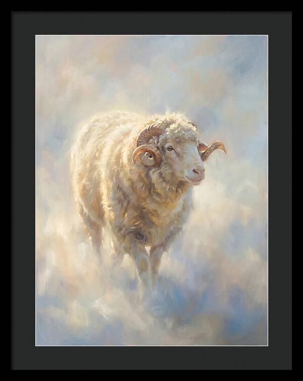 Merino Sheep