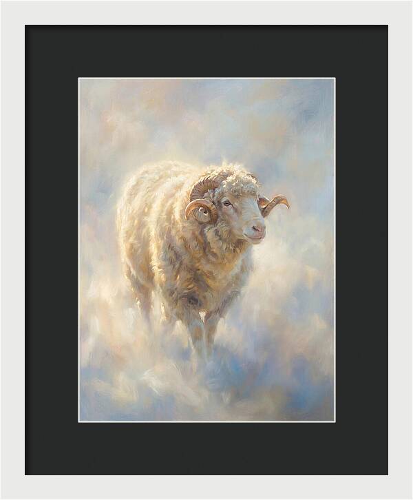 Merino Sheep
