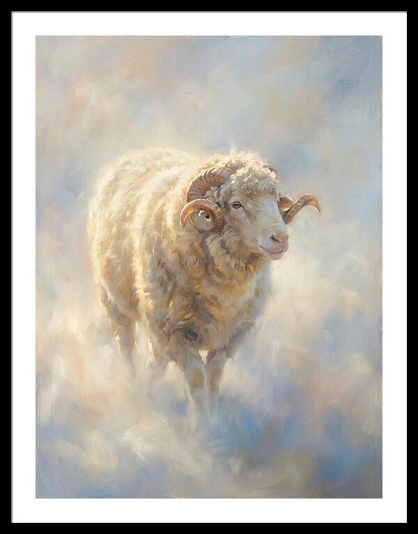 Merino Sheep