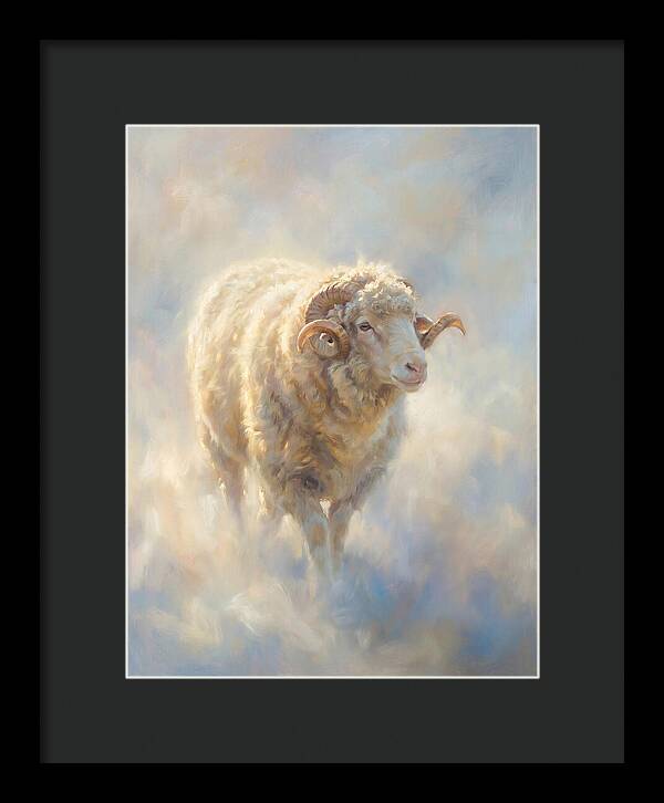 Merino Sheep