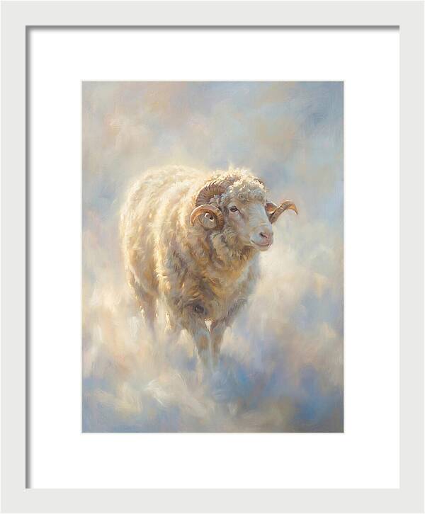Merino Sheep