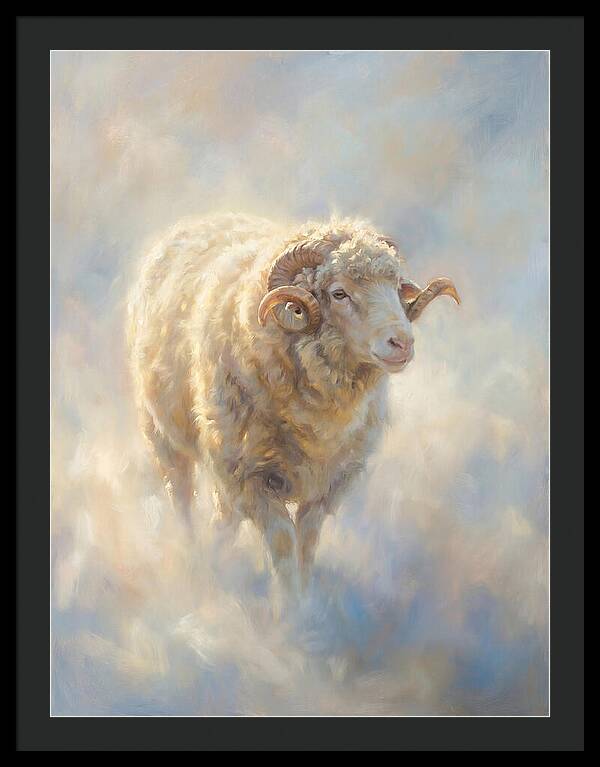Merino Sheep