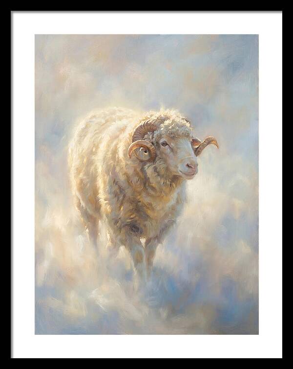 Merino Sheep