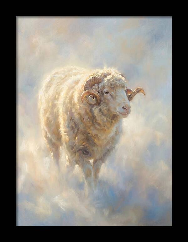 Merino Sheep