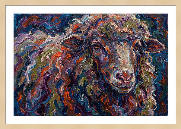 Merino Sheep In Vibrant Colors