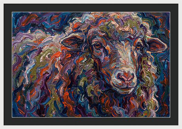 Merino Sheep In Vibrant Colors