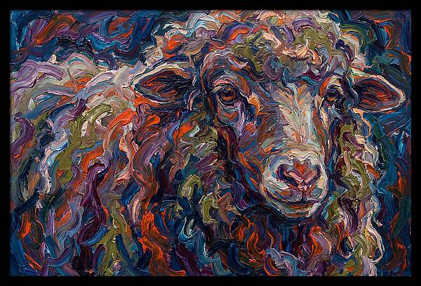 Merino Sheep In Vibrant Colors