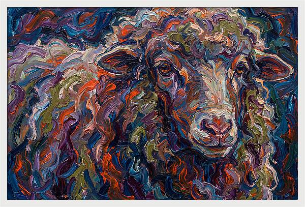 Merino Sheep In Vibrant Colors