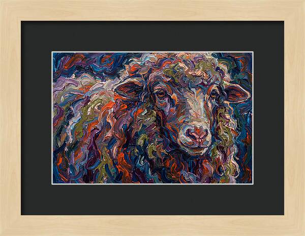 Merino Sheep In Vibrant Colors