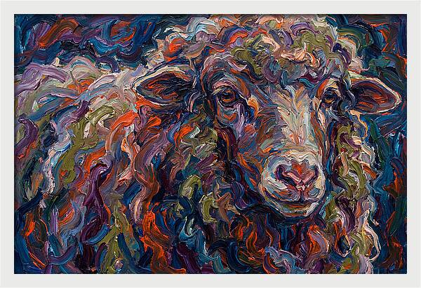 Merino Sheep In Vibrant Colors
