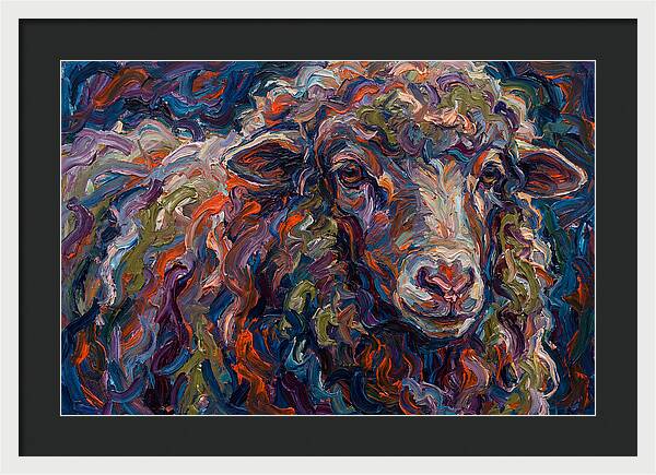 Merino Sheep In Vibrant Colors
