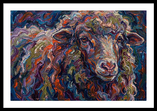 Merino Sheep In Vibrant Colors