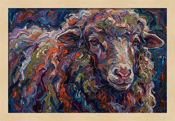Merino Sheep In Vibrant Colors