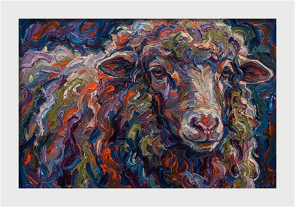 Merino Sheep In Vibrant Colors