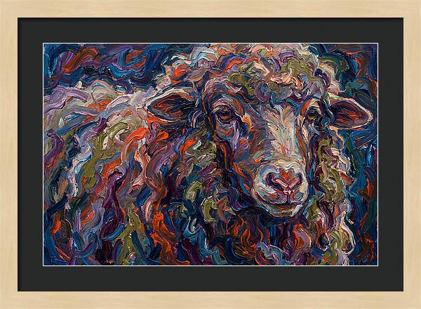 Merino Sheep In Vibrant Colors