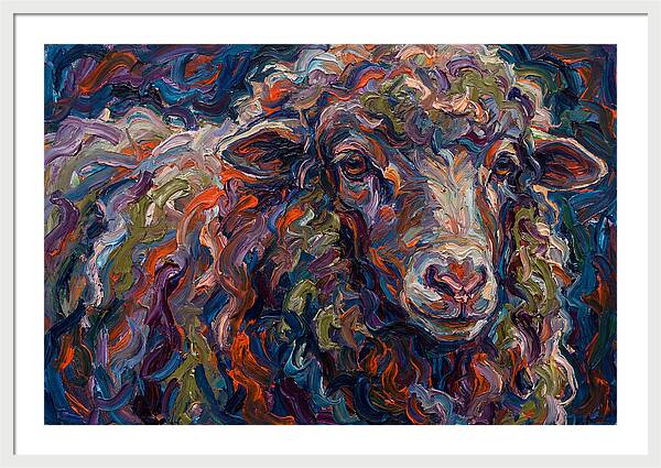 Merino Sheep In Vibrant Colors