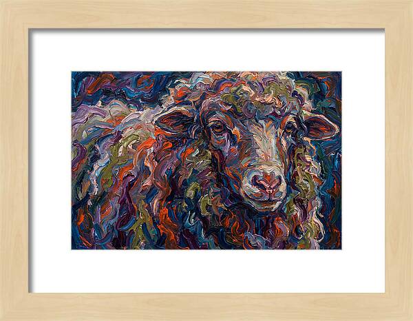 Merino Sheep In Vibrant Colors