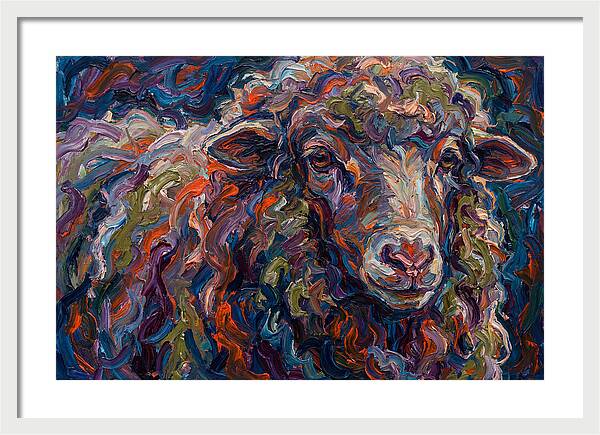 Merino Sheep In Vibrant Colors