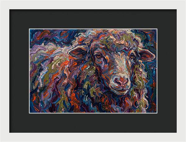 Merino Sheep In Vibrant Colors