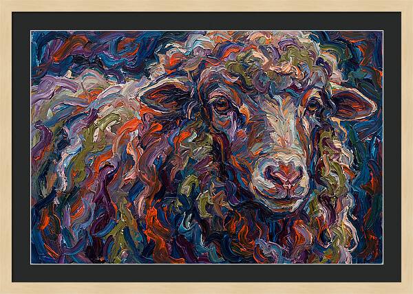 Merino Sheep In Vibrant Colors