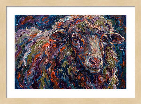 Merino Sheep In Vibrant Colors