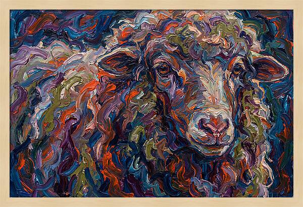 Merino Sheep In Vibrant Colors
