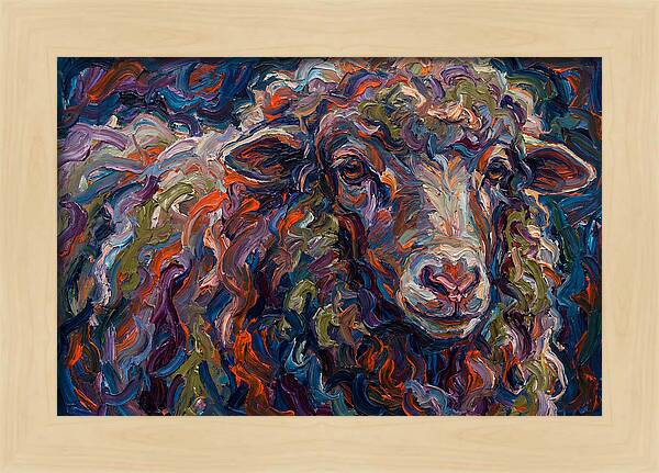 Merino Sheep In Vibrant Colors