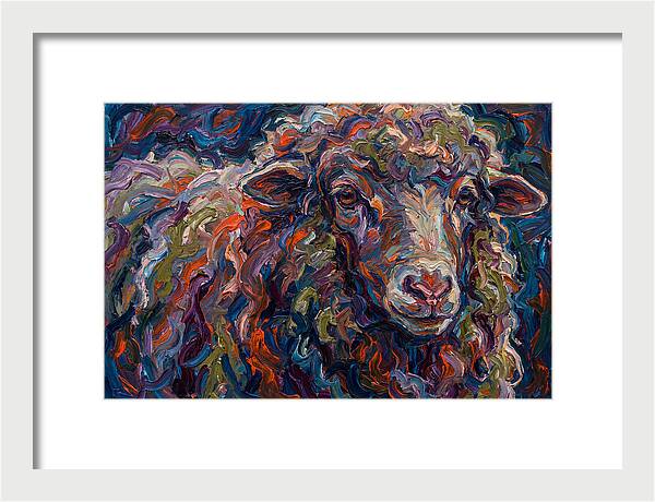 Merino Sheep In Vibrant Colors