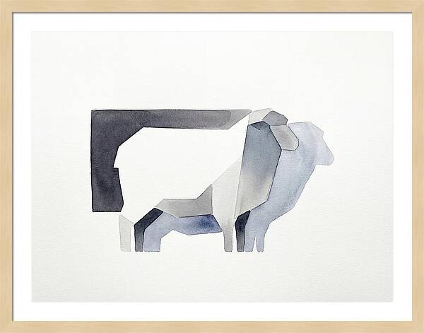 Merino Sheep Minimalism