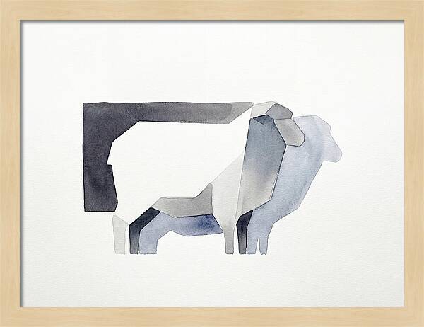 Merino Sheep Minimalism