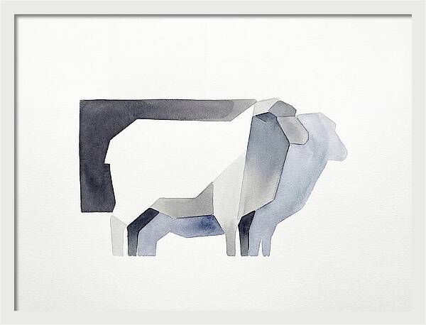 Merino Sheep Minimalism