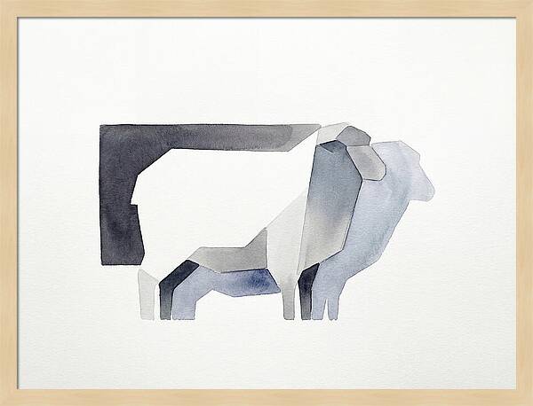 Merino Sheep Minimalism