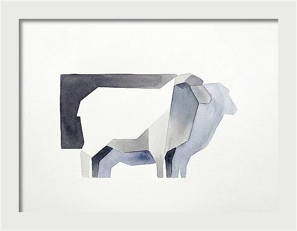 Merino Sheep Minimalism
