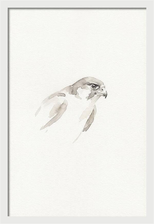 Merlin In Minimalist Style