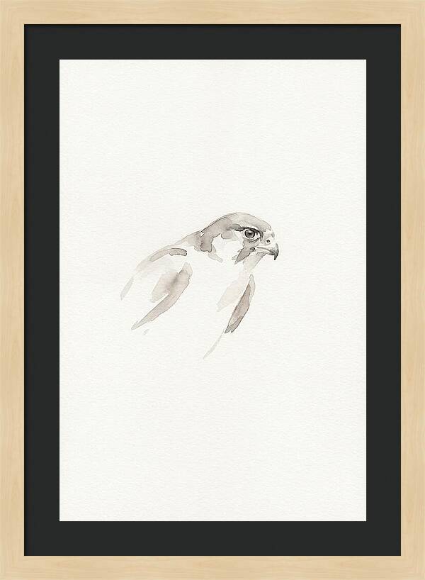 Merlin In Minimalist Style