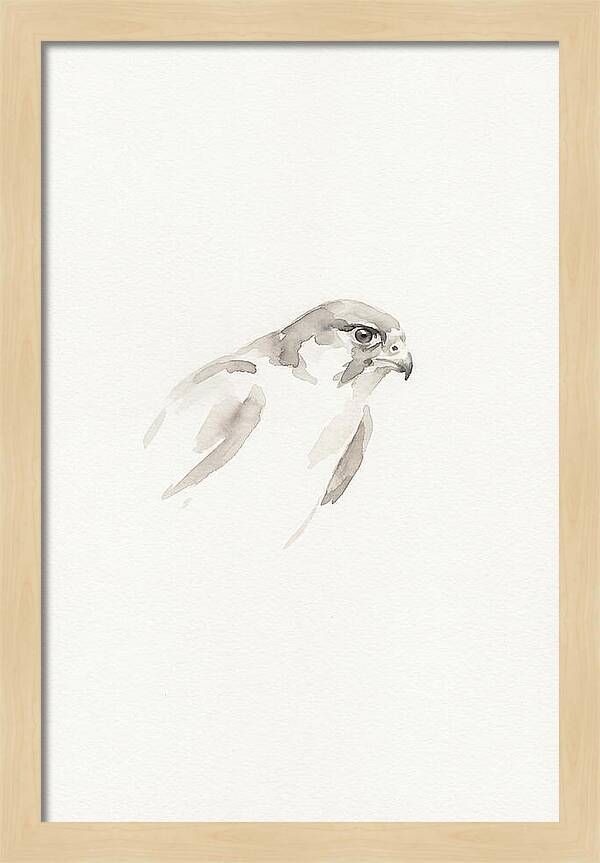 Merlin In Minimalist Style